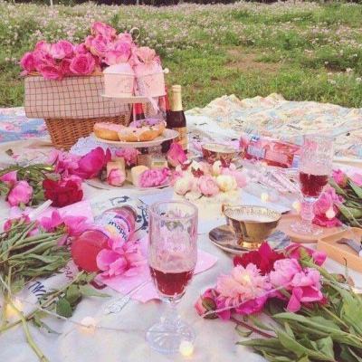 金星棋牌下载手机版